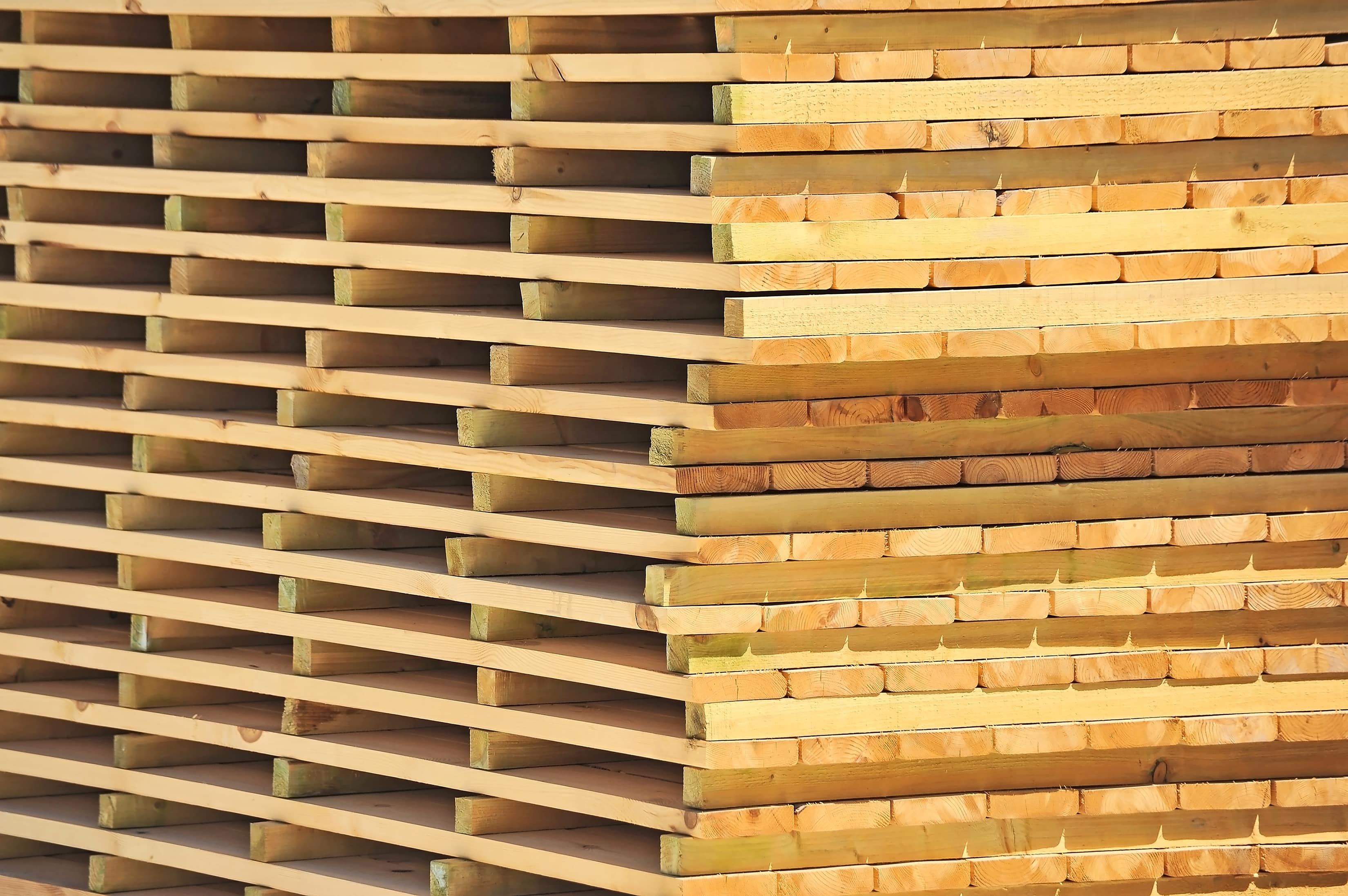 We plan to start trading dried timber and provide wood drying services